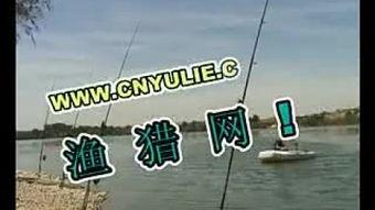 钓鱼爆料视频最新版,揭秘钓鱼技巧与陷阱  第2张